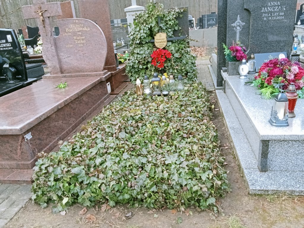 Grób Waldemar Szenfeld
